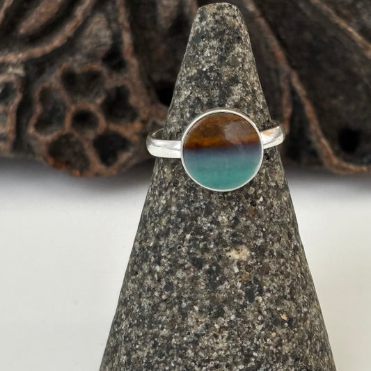 Blue Opalized Wood Ring 6.5