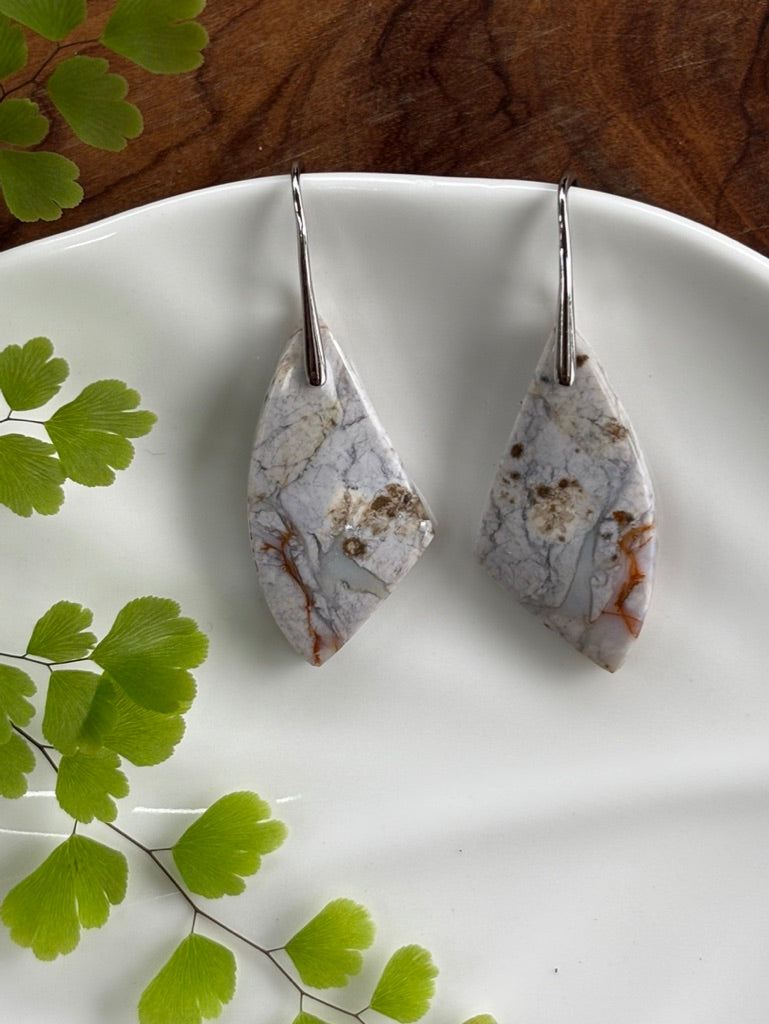 Petrified Wood Earrings