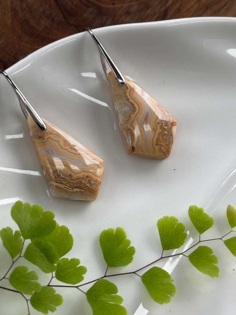 Small Crazy Lace Agate Dangle Earrings