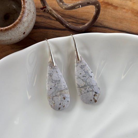 Petrified Wood Earrings