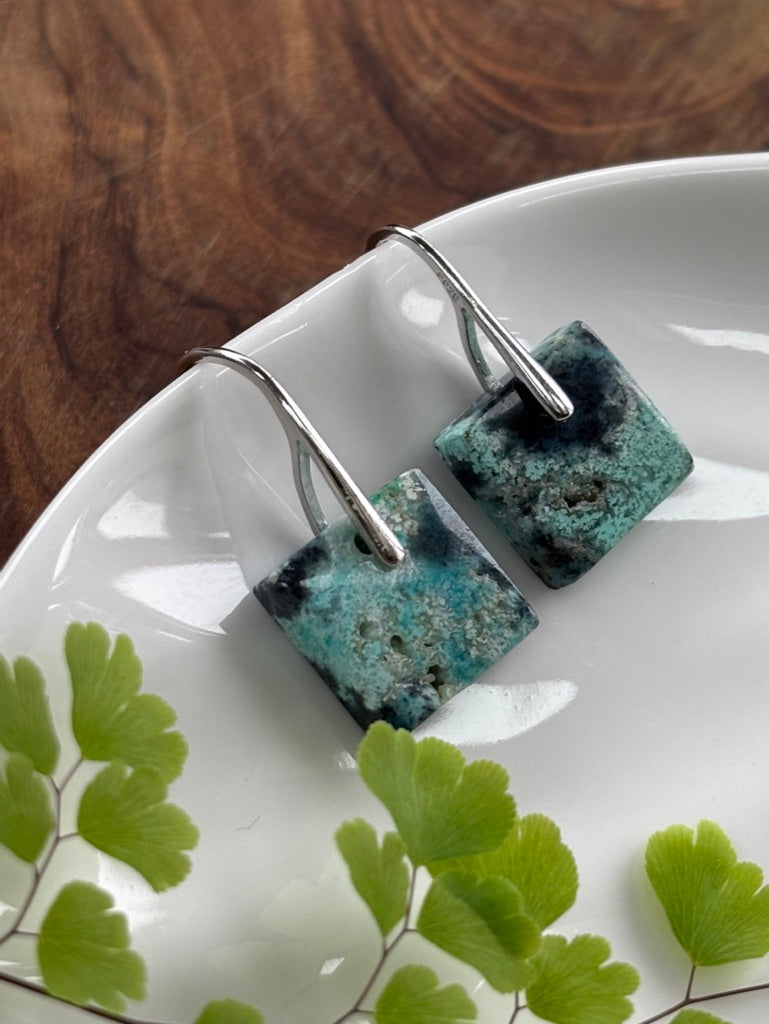 Small Blue Opalized Wood Earrings