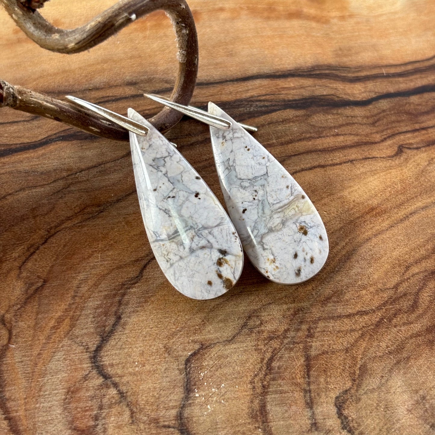 Petrified Wood Earrings