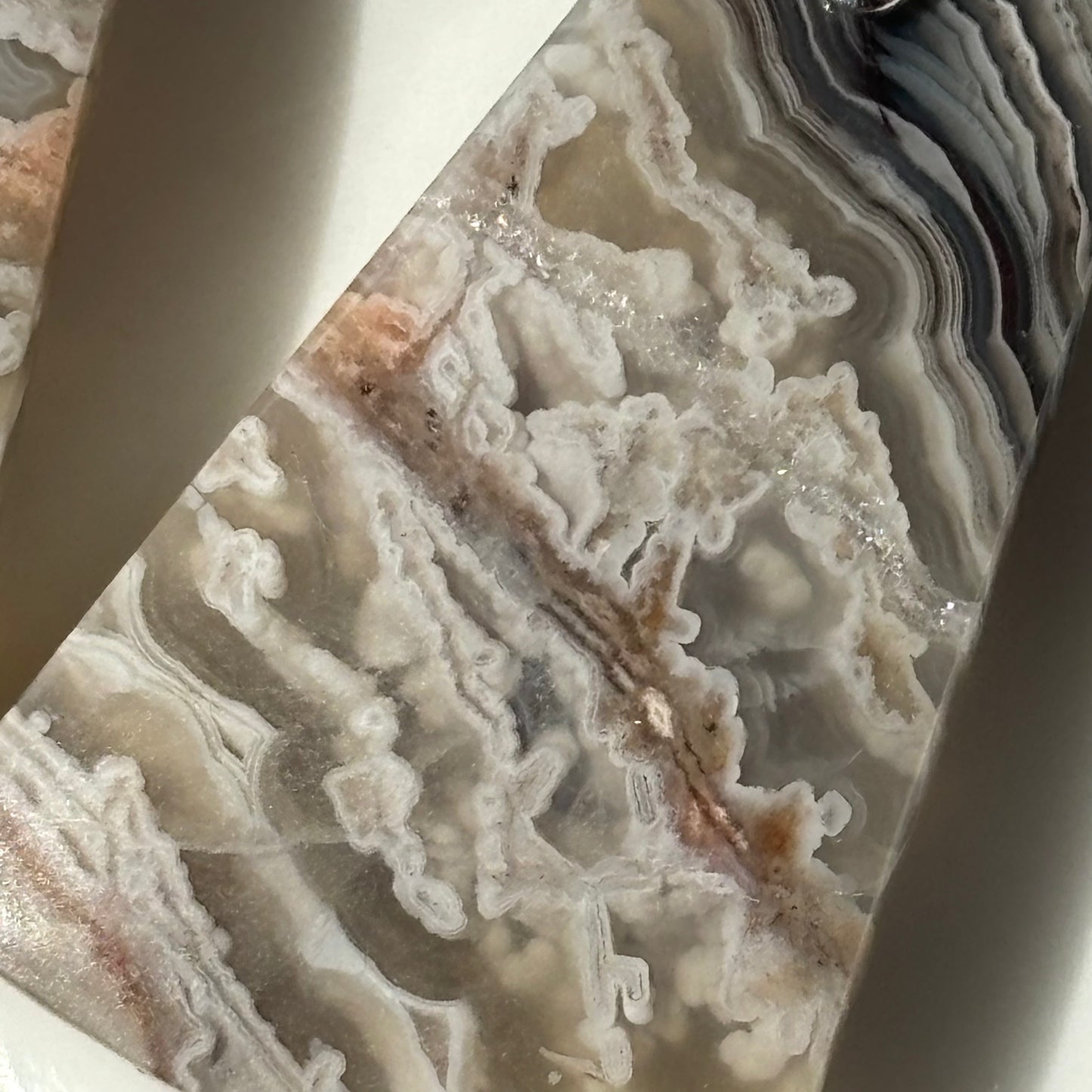 Crazy Lace Agate Dangle Earrings