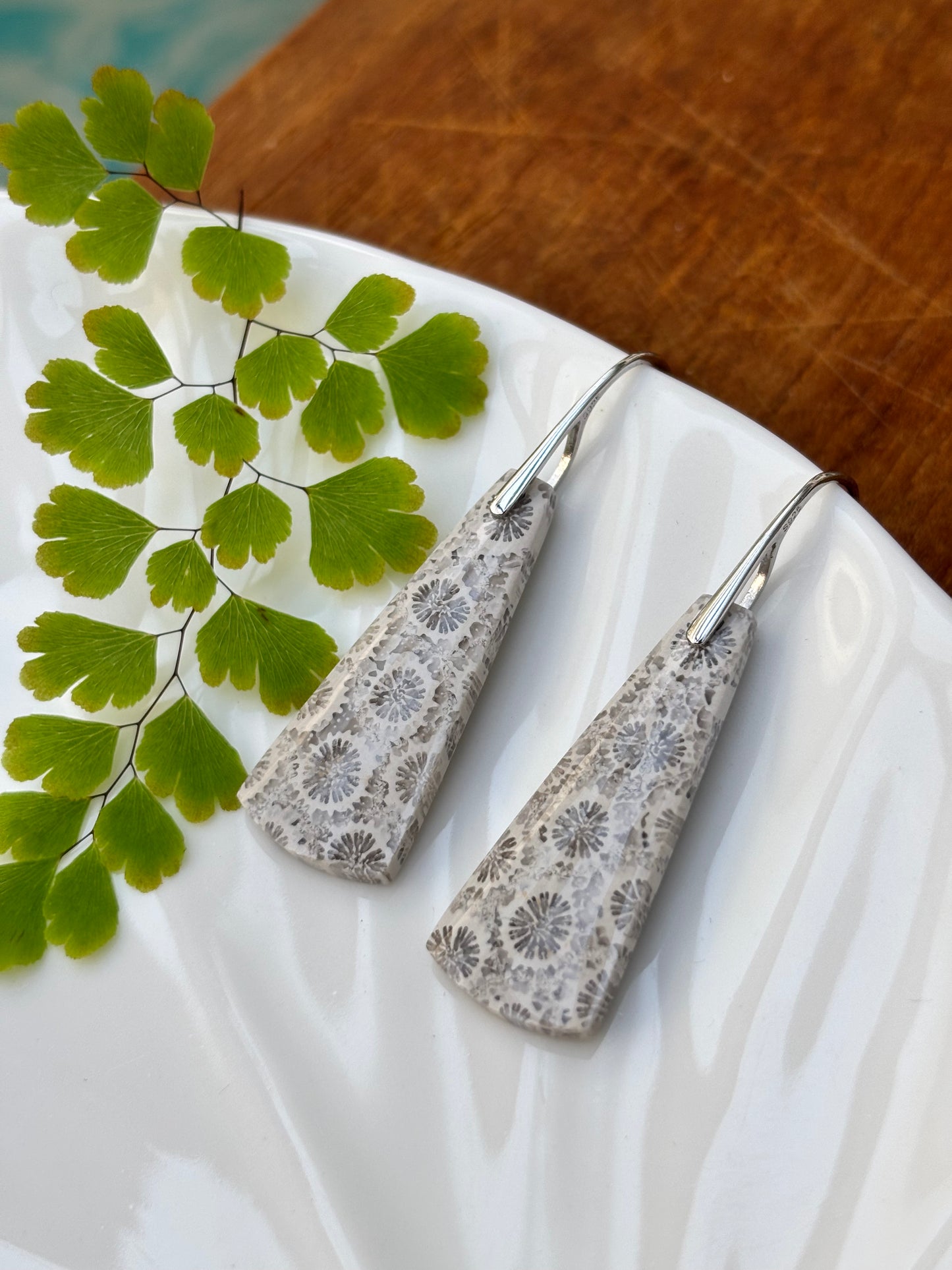 Fossilized Coral Earrings