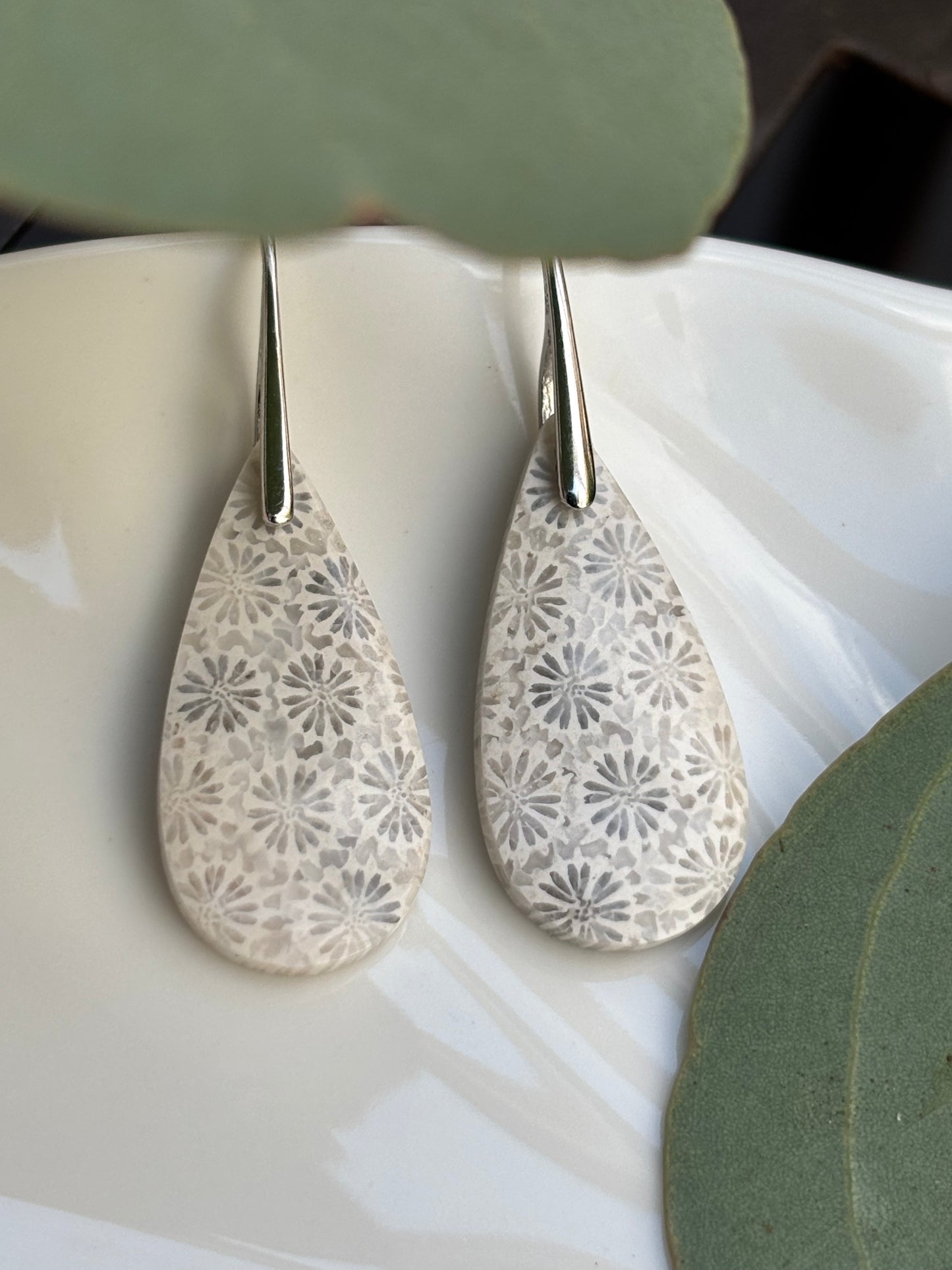 Fossilized Coral Earrings