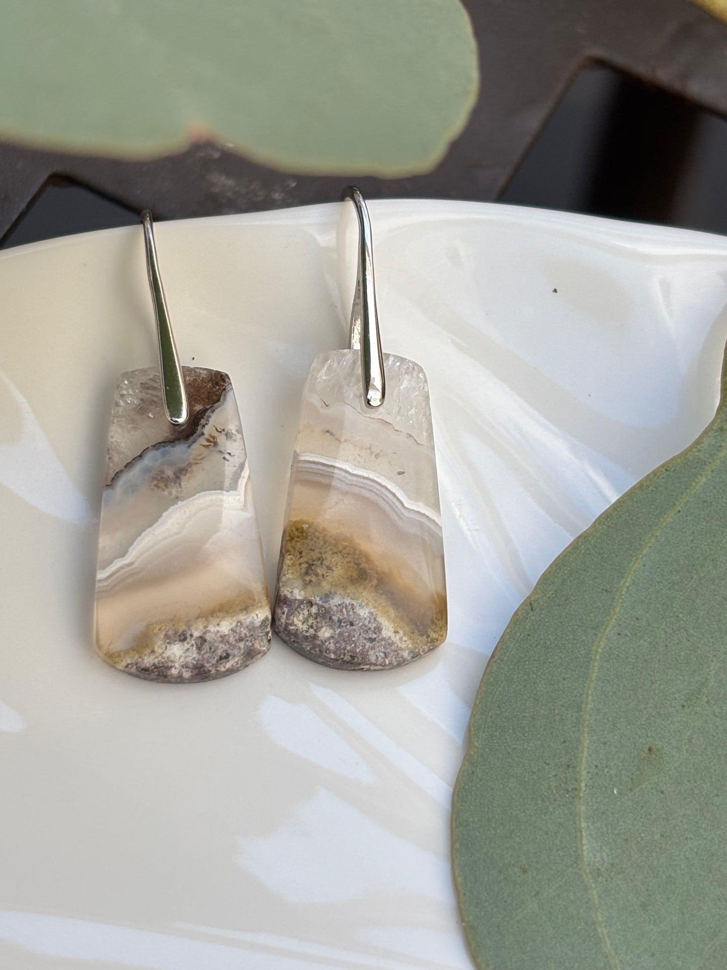 Crazy Lace Agate Dangle Earrings