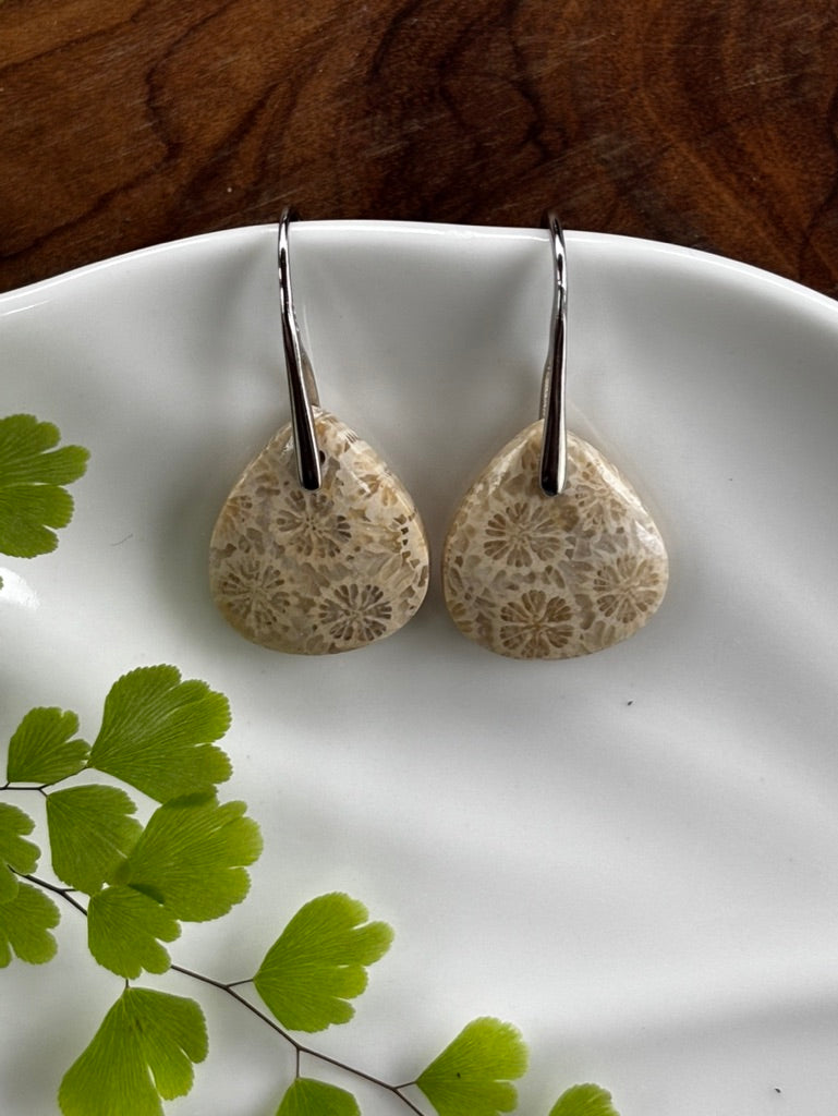 Fossilized Coral Earrings