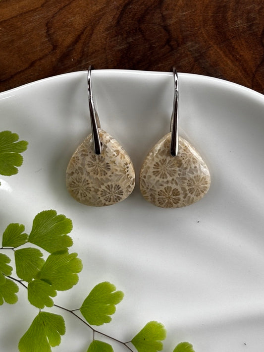 Fossilized Coral Earrings