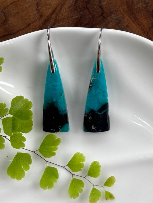 Blue Opalized Wood Dangle Earrings