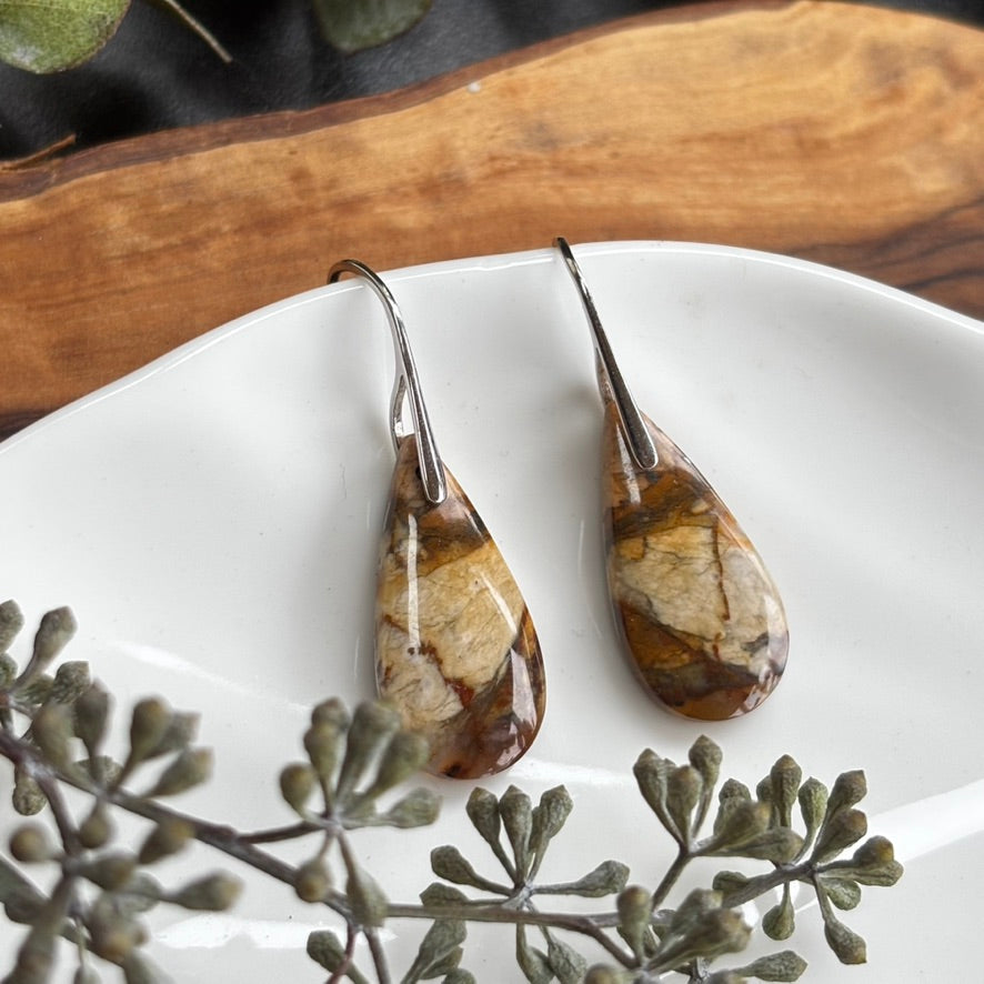 Petrified Wood Earrings