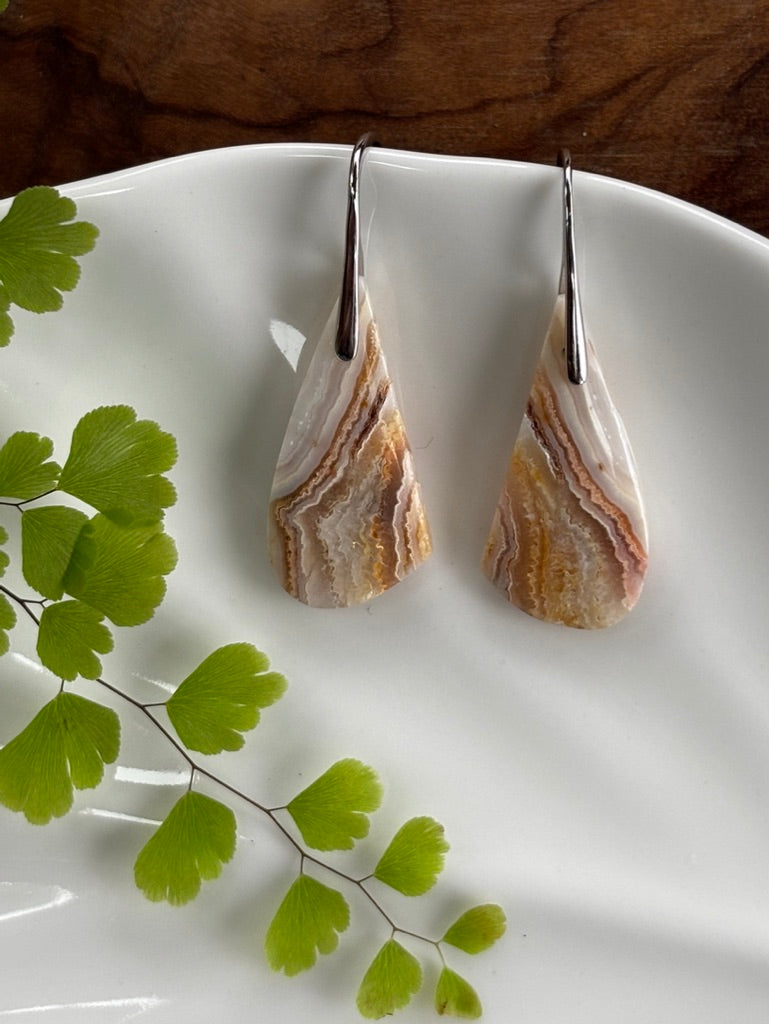 Crazy Lace Agate Dangle Earrings
