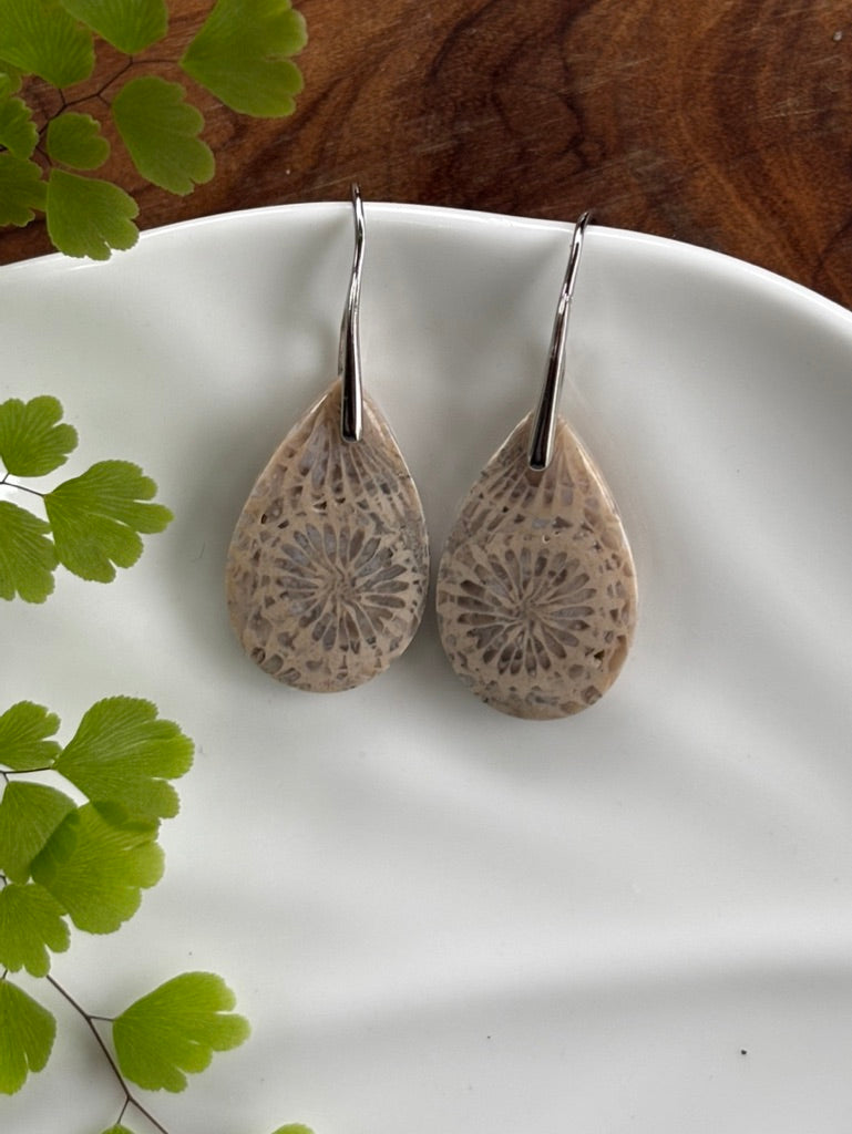 Fossilized Coral Earrings