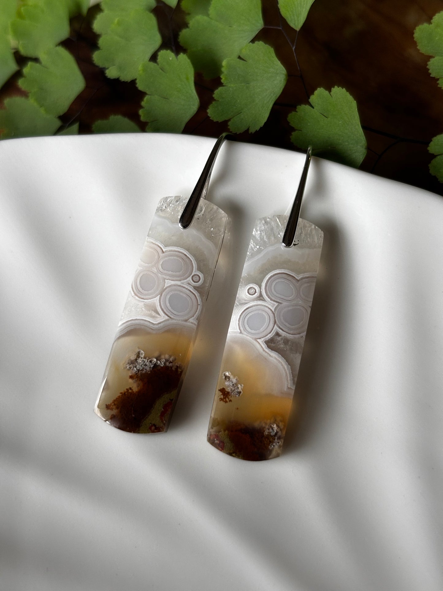 Crazy Lace Agate Dangle Earrings