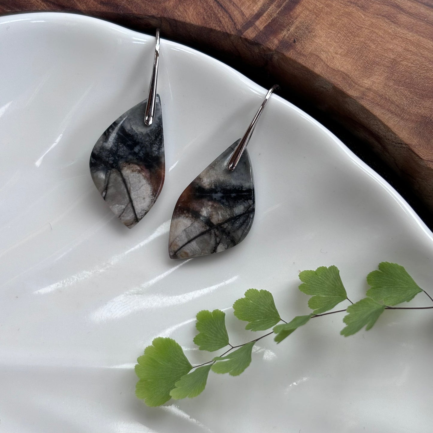 Petrified Wood Earrings