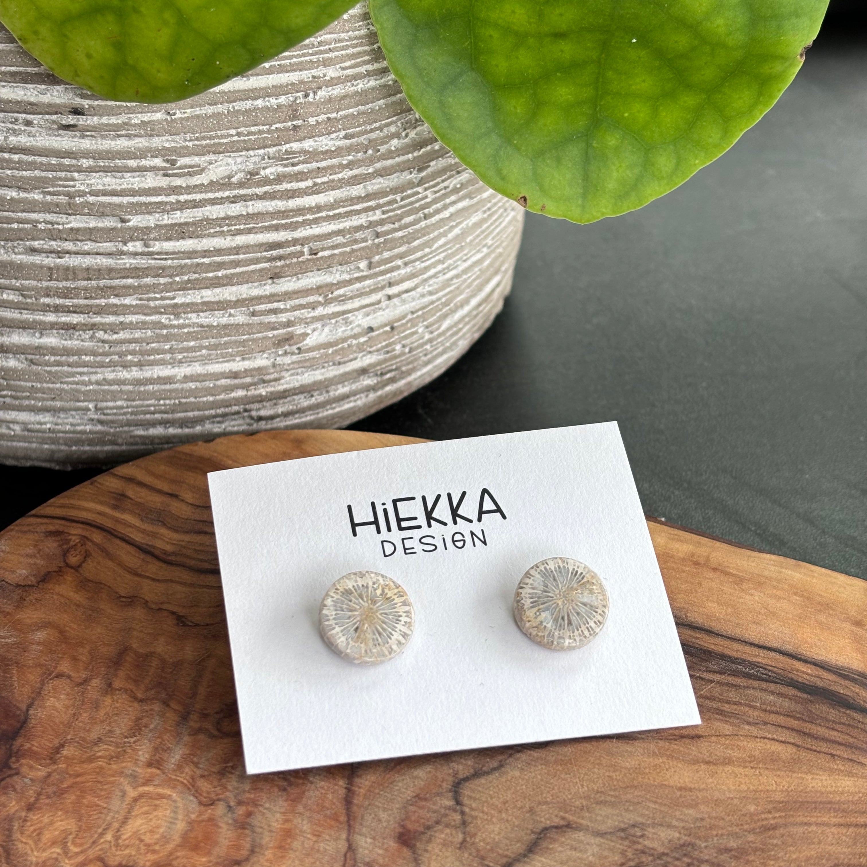 Fossilized Coral Studs
