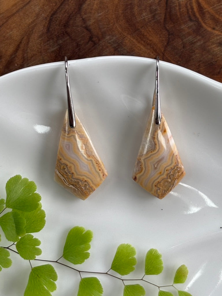 Small Crazy Lace Agate Dangle Earrings