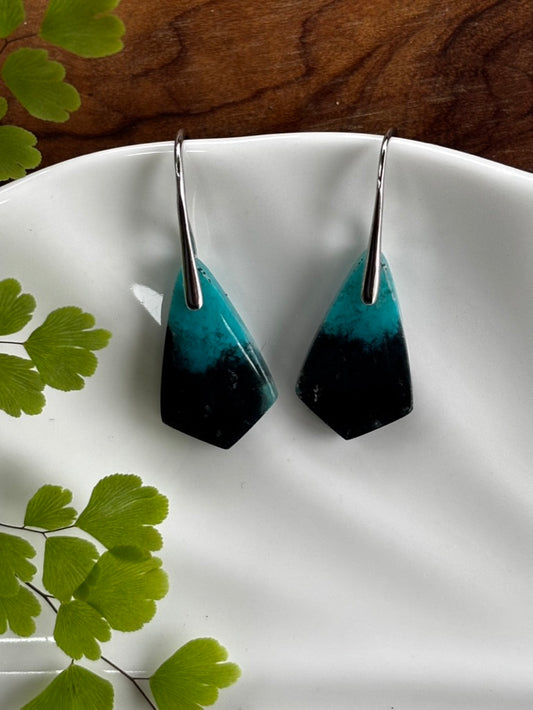 Small Blue Opalized Wood kite Earrings