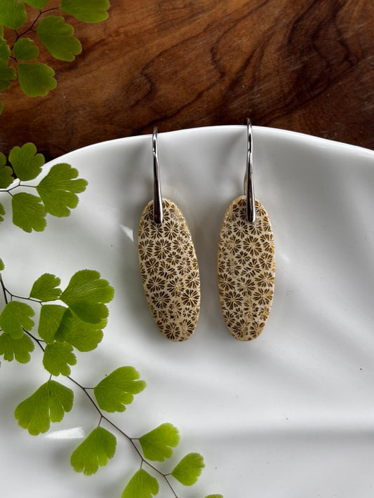 Fossilized Coral Dangle Earrings