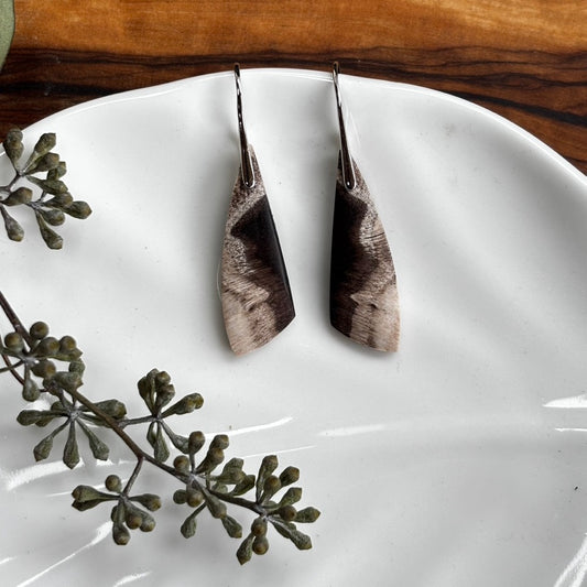 Petrified Wood Earrings