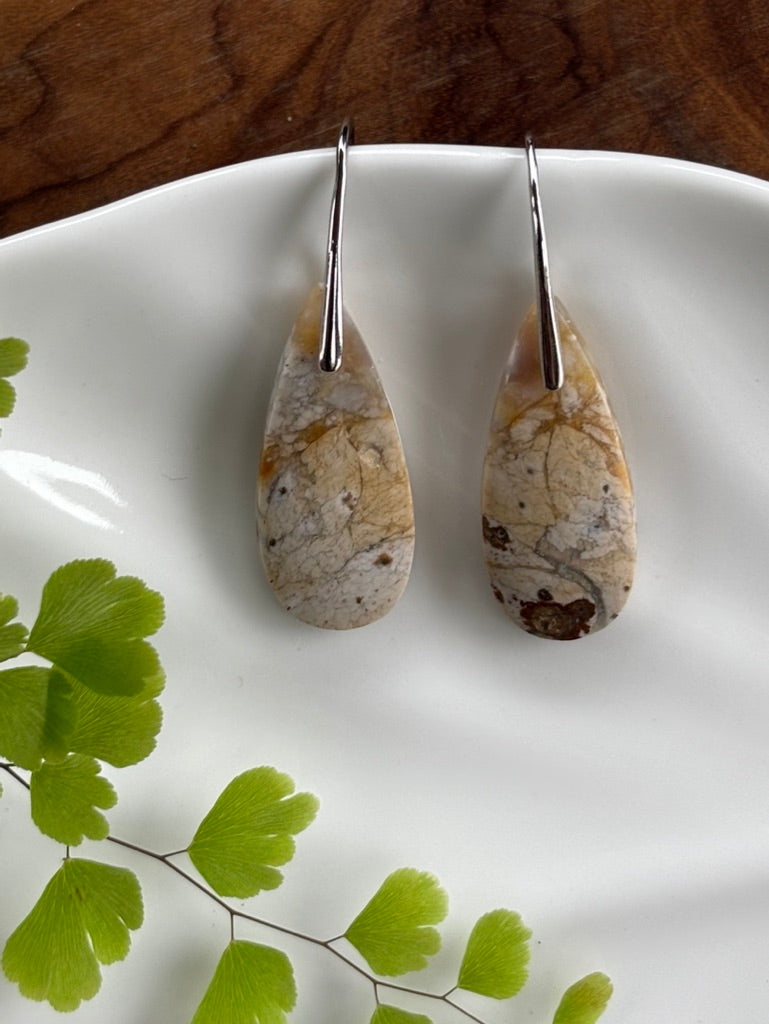 Petrified Wood  Earrings