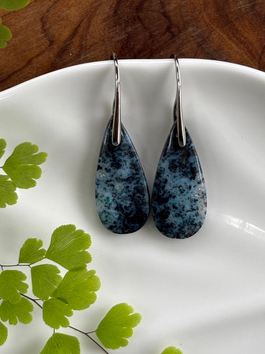 Blue Opalized Wood Dangle Earrings