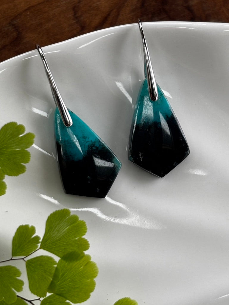 Small Blue Opalized Wood kite Earrings