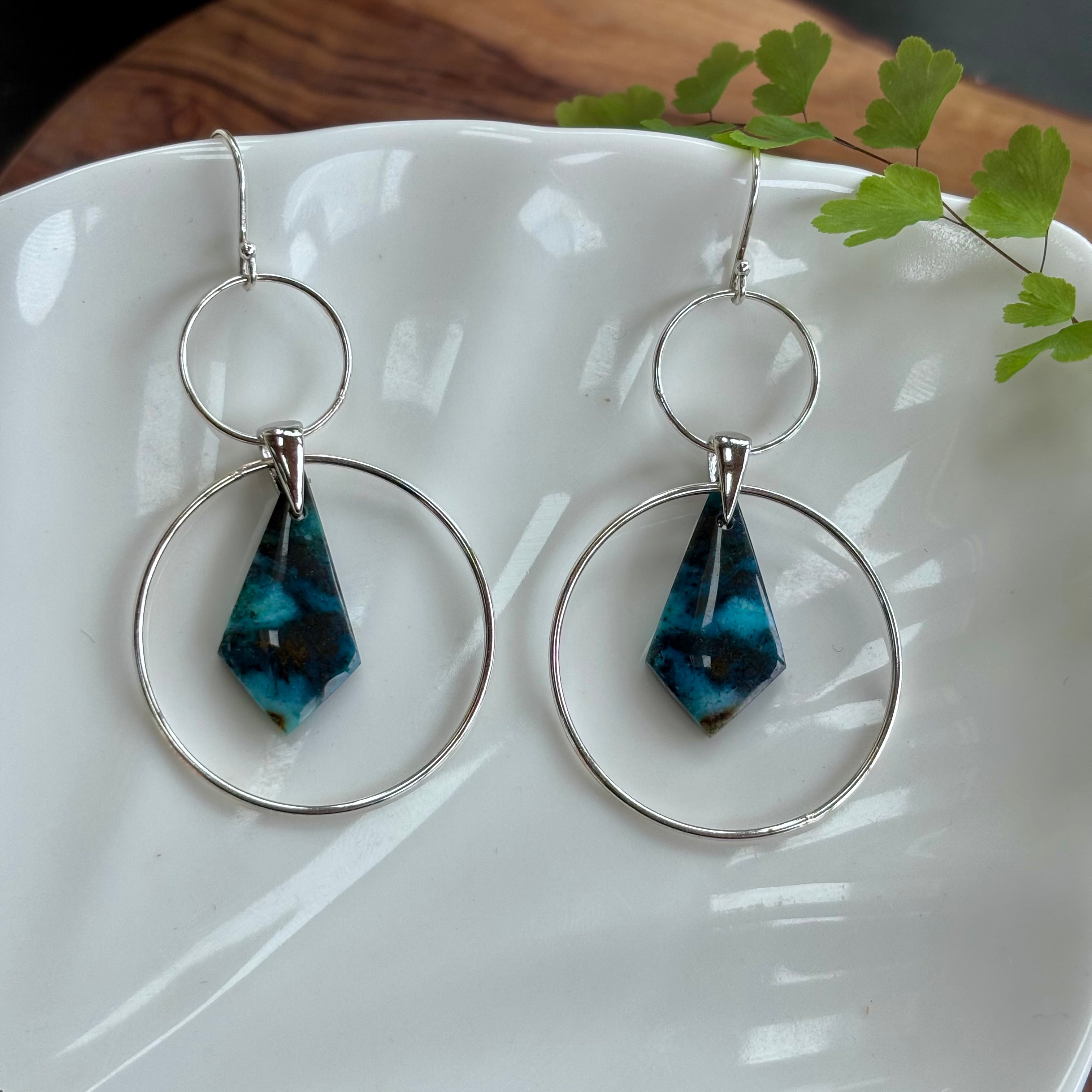 Blue Opalized Wood Earrings