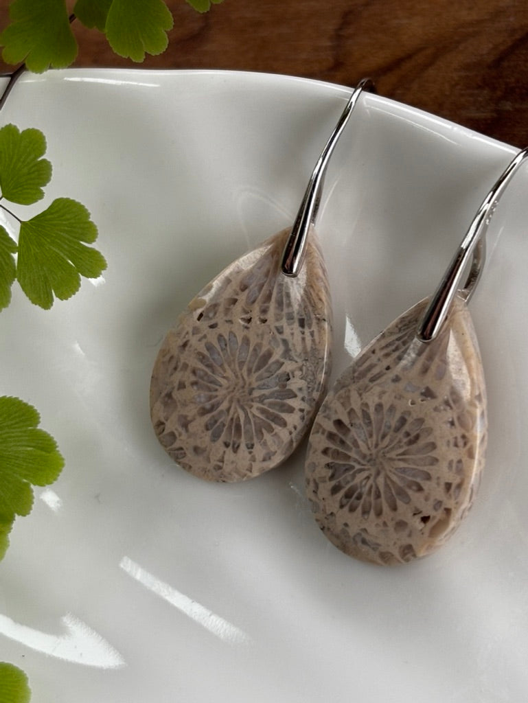 Fossilized Coral Earrings