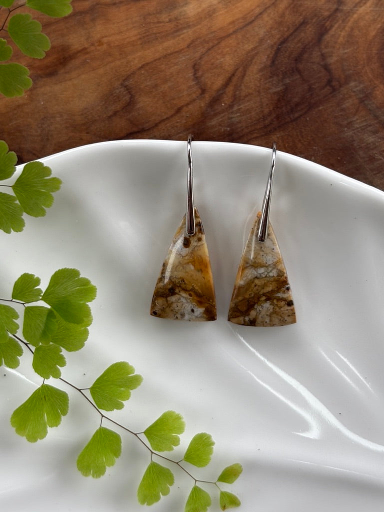 Petrified Wood  Earrings