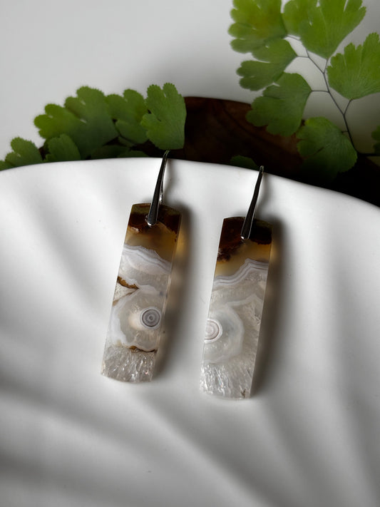 Crazy Lace Agate Dangle Earrings
