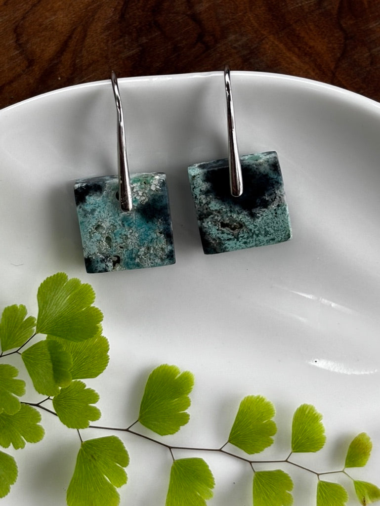 Small Blue Opalized Wood Earrings