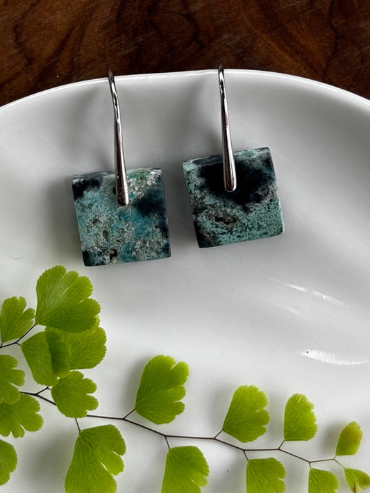 Small Blue Opalized Wood Earrings