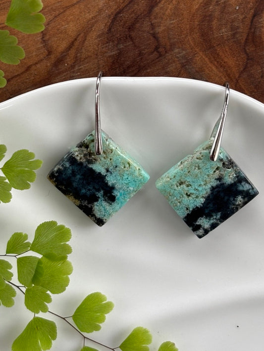 Blue Opalized Wood Square Earrings