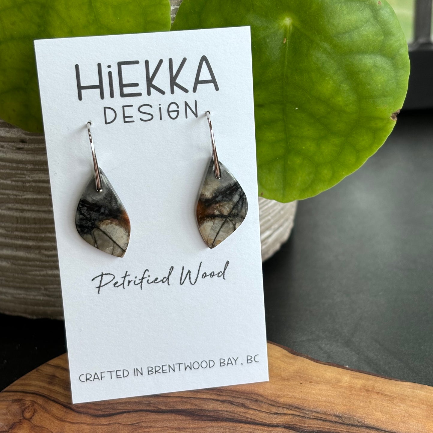 Petrified Wood Earrings