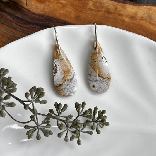 Petrified Wood Earrings