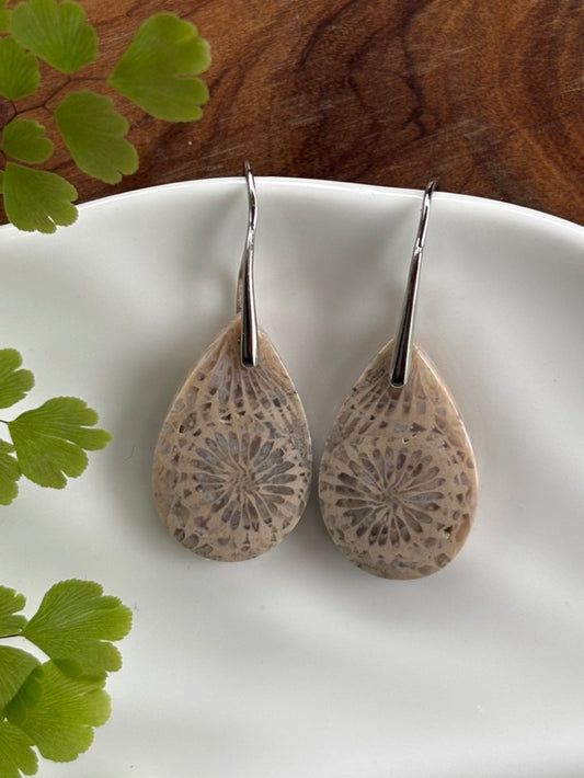 Fossilized Coral Earrings