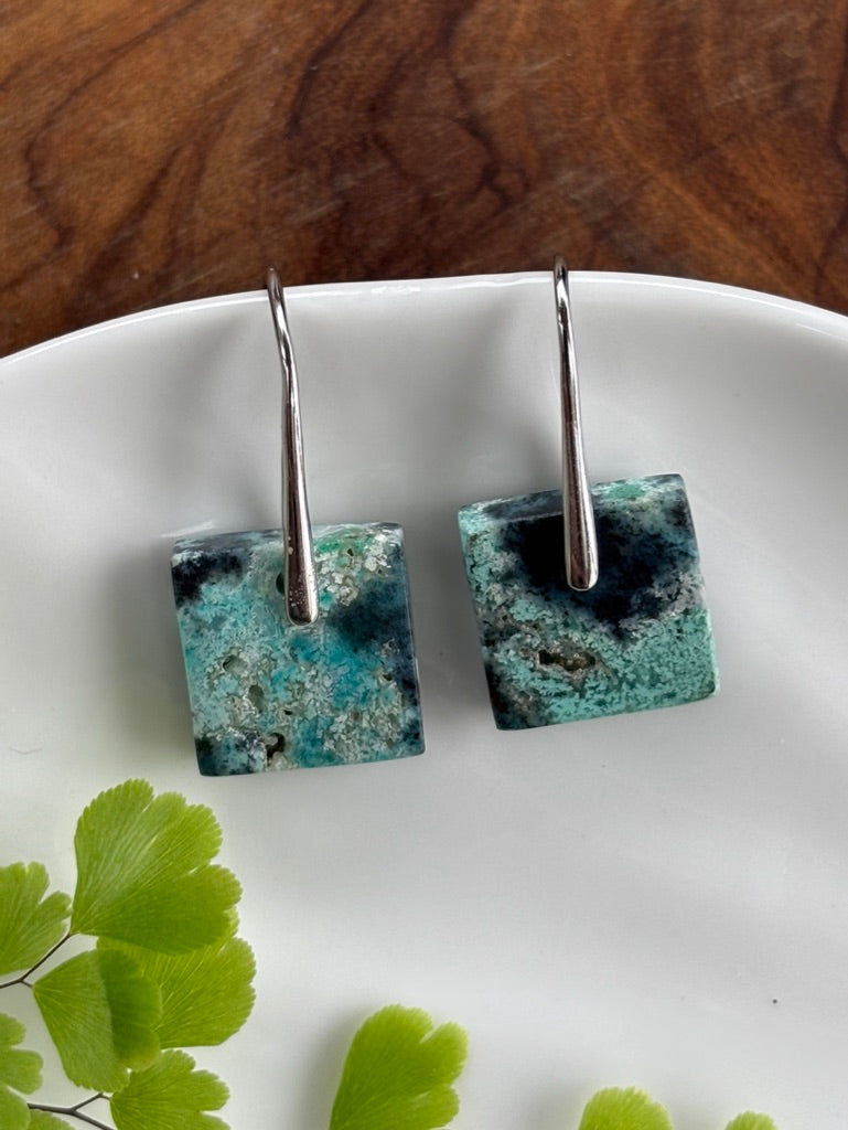 Small Blue Opalized Wood Earrings
