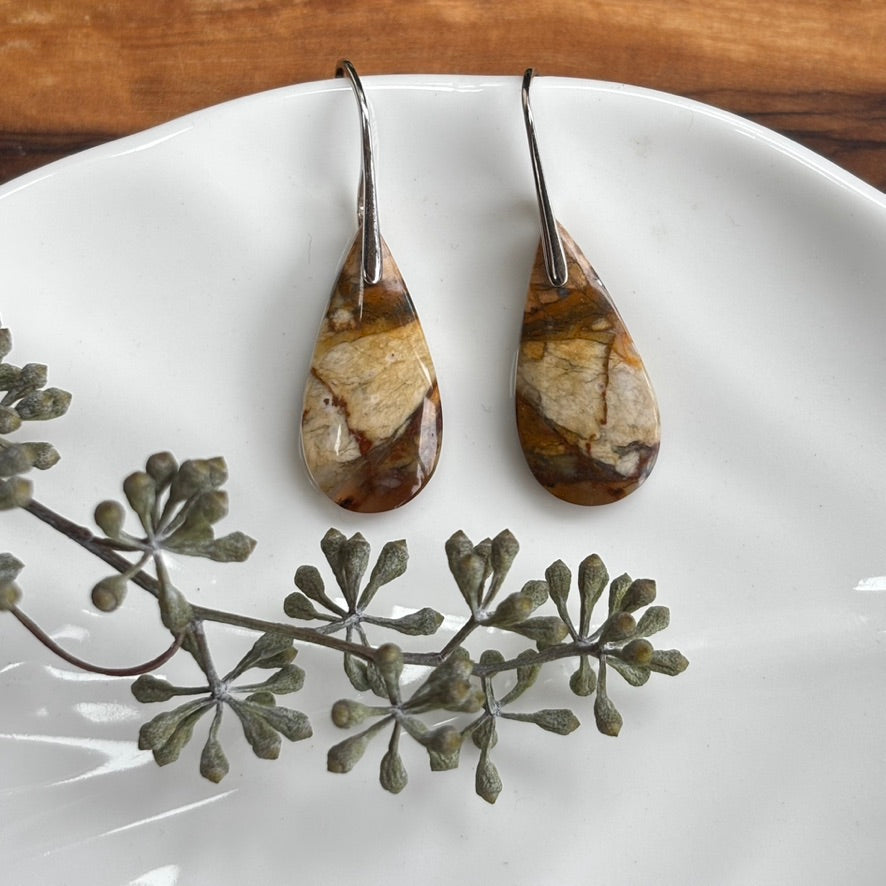 Petrified Wood Earrings