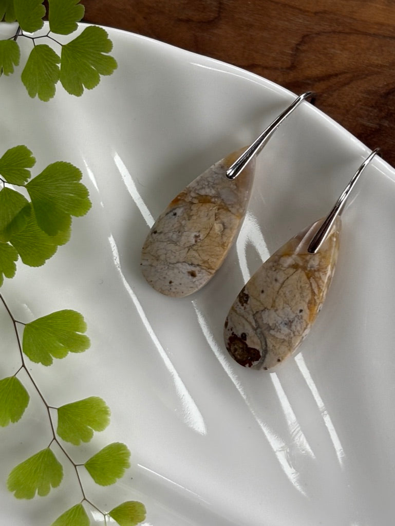 Petrified Wood  Earrings