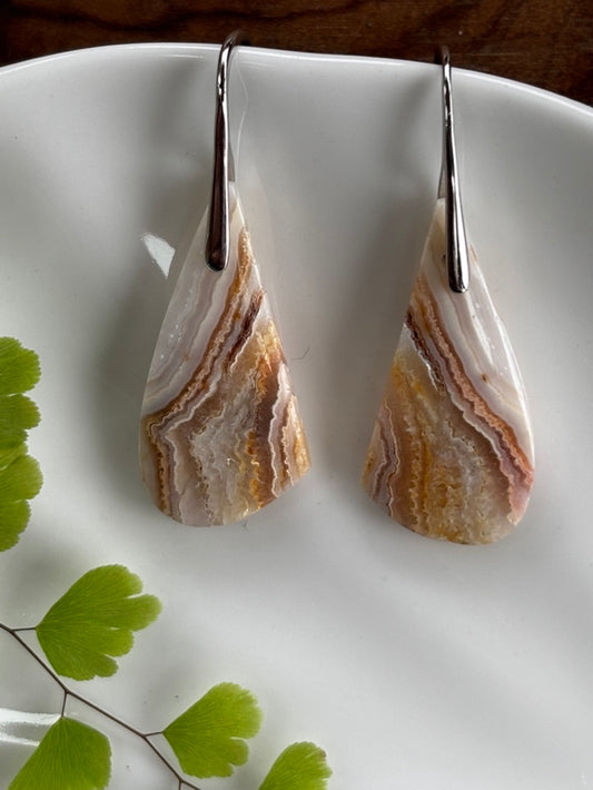 Crazy Lace Agate Dangle Earrings