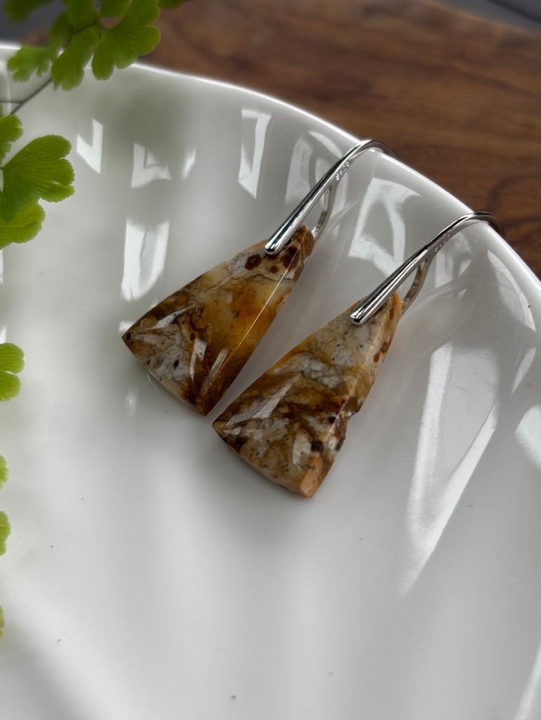 Petrified Wood  Earrings