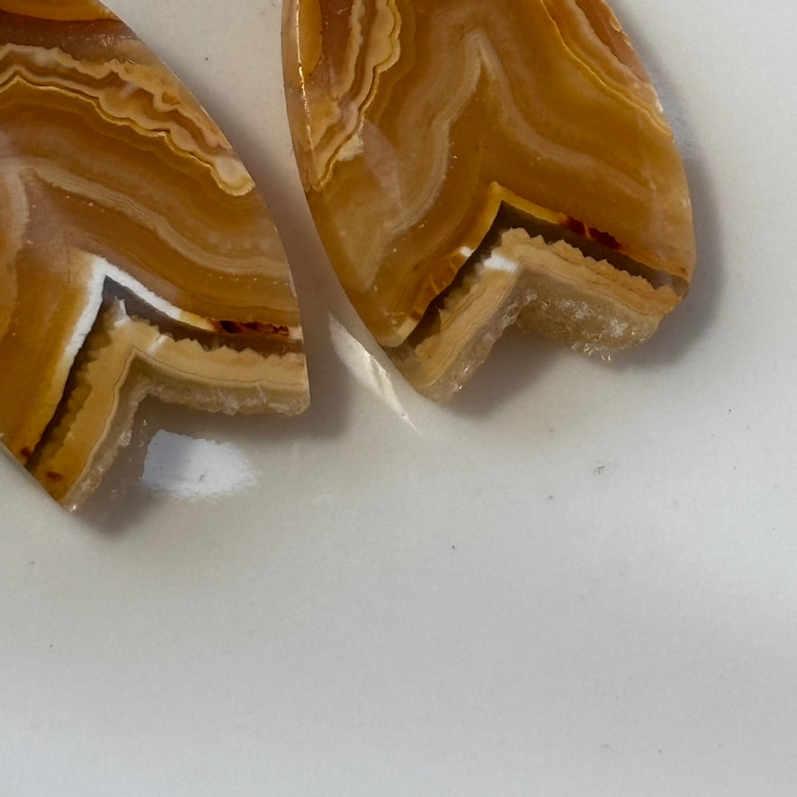 Small Crazy Lace Agate Dangle Earrings