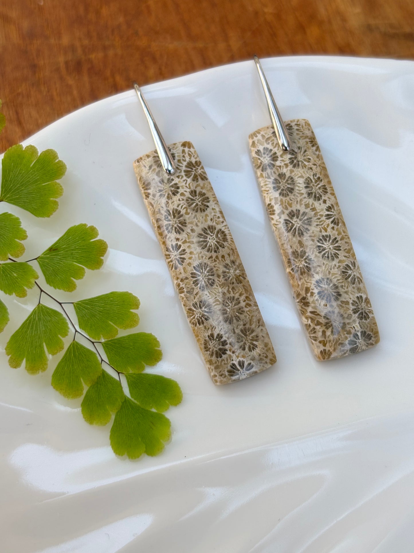 Fossilized Coral Earrings
