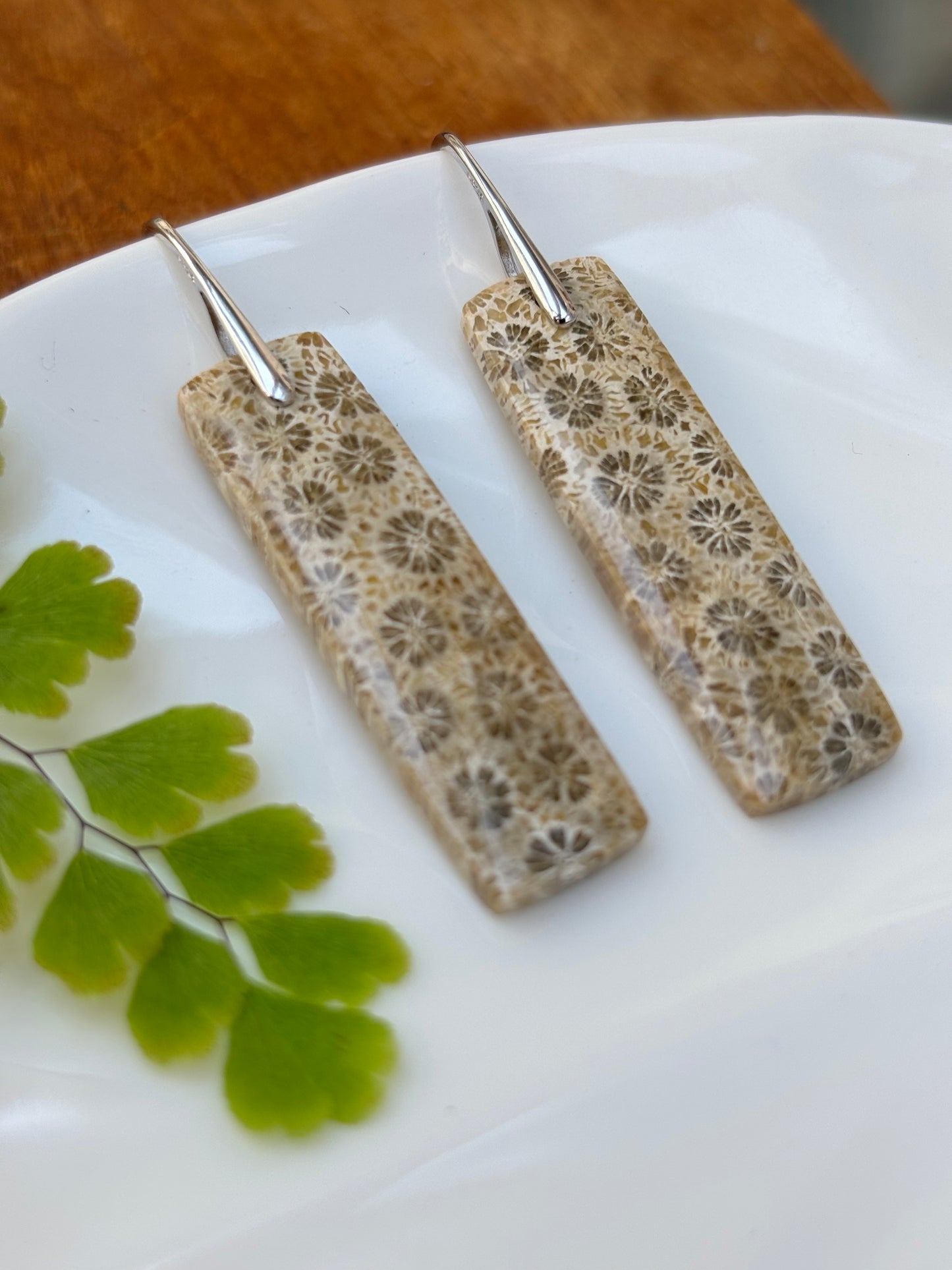 Fossilized Coral Earrings