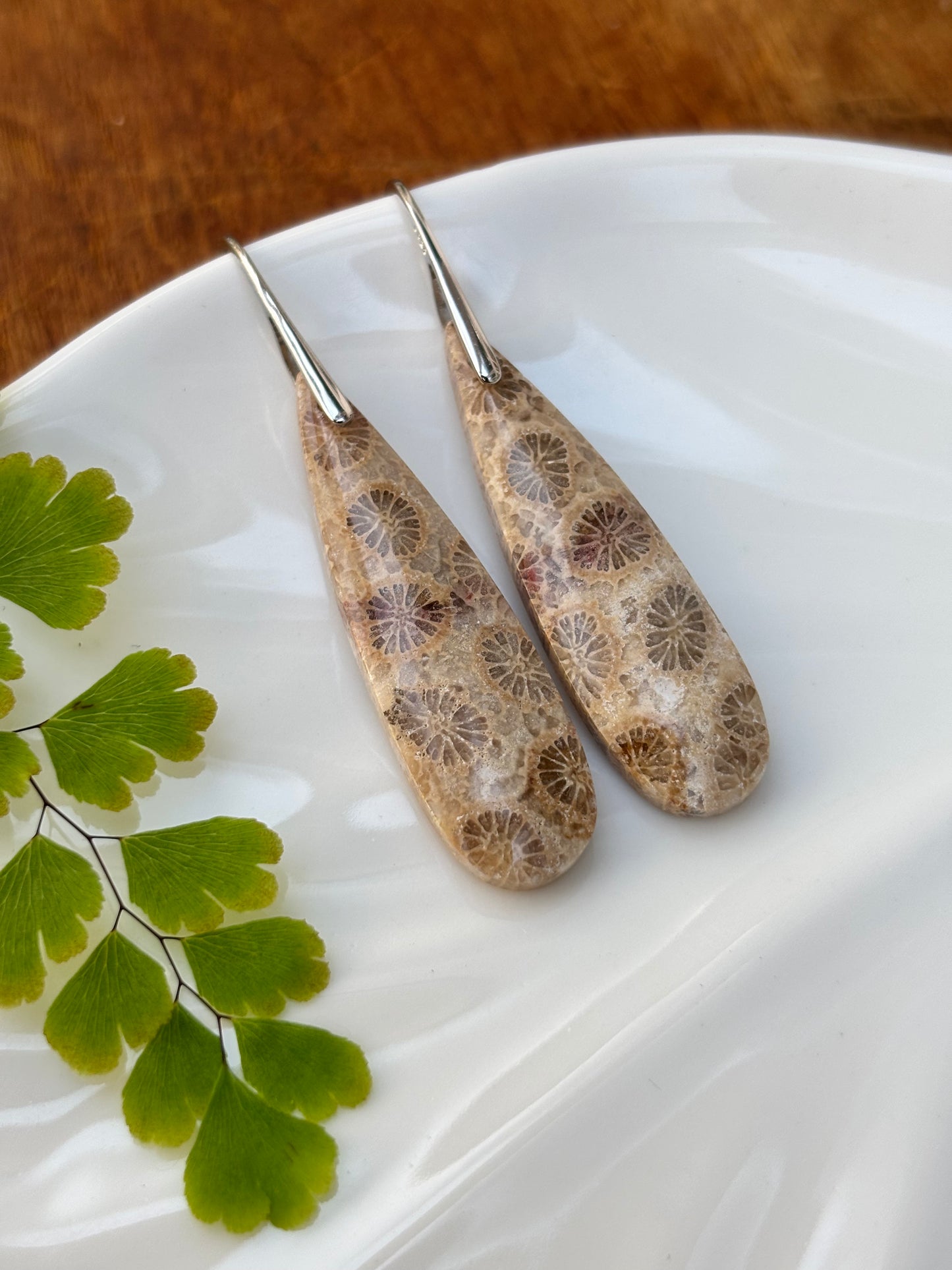 Fossilized Coral Earrings