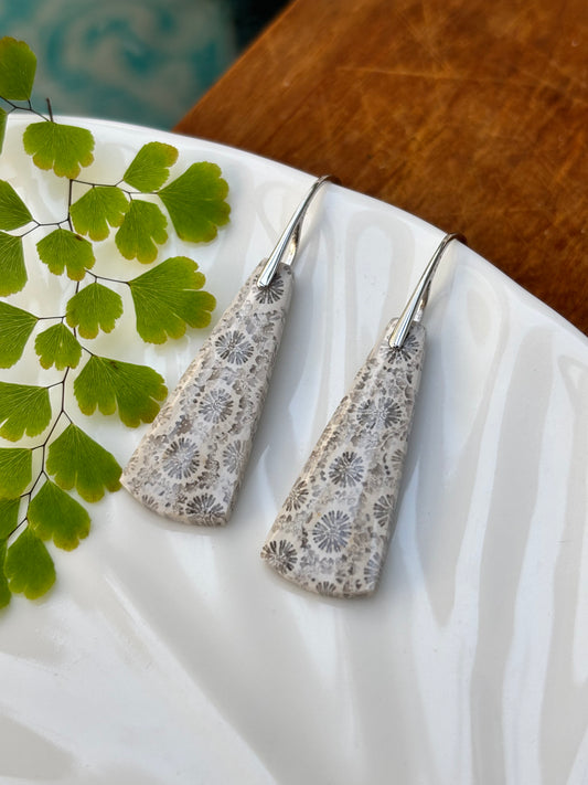 Fossilized Coral Earrings