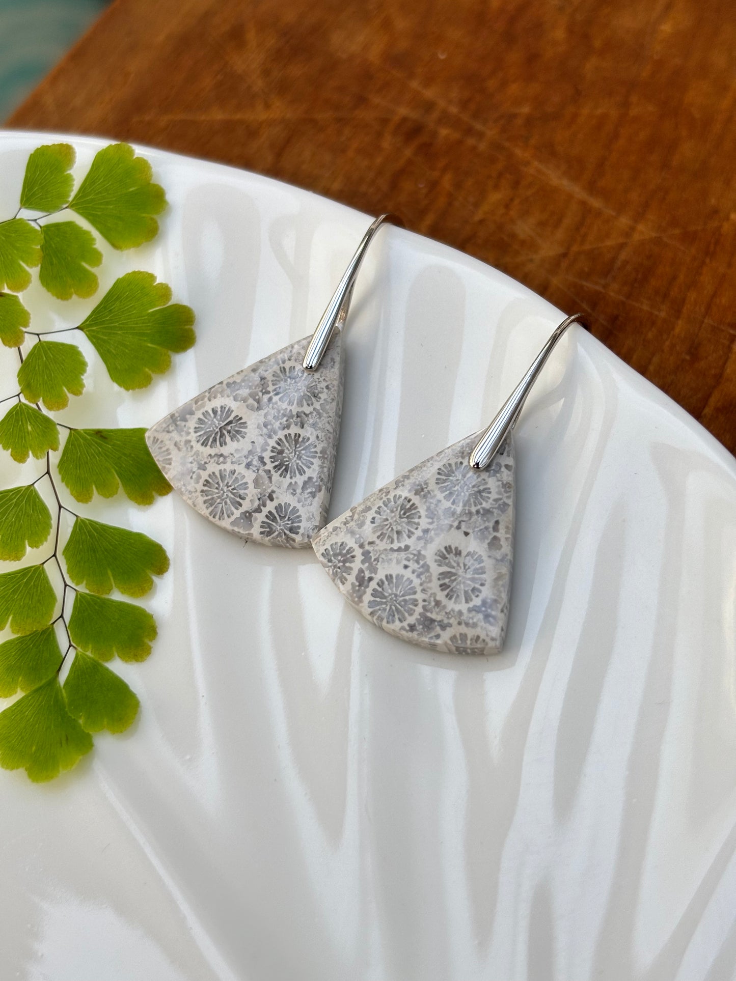 Fossilized Coral Fan Earrings