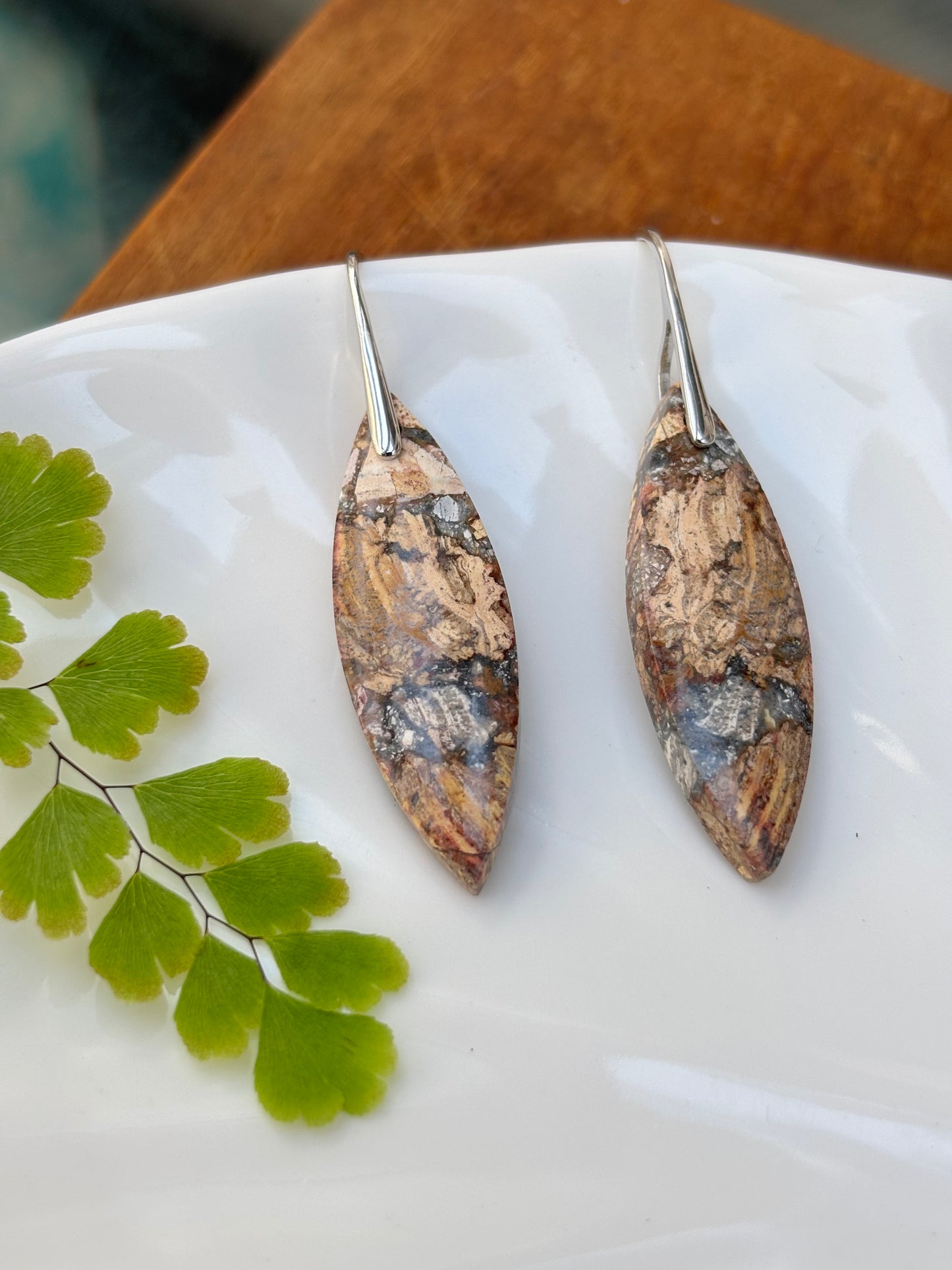 Petrified Wood  Earrings