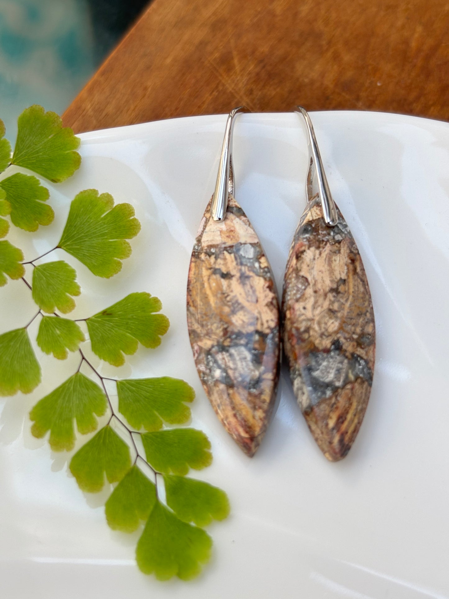 Petrified Wood  Earrings