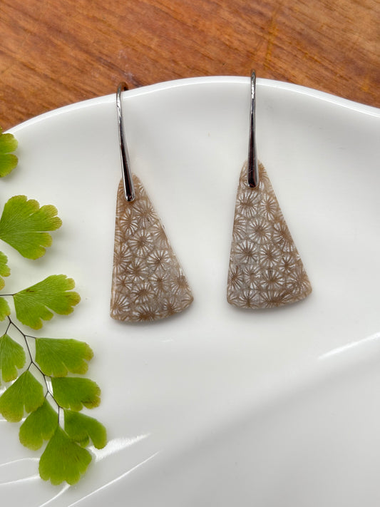 Fossilized Coral Earrings